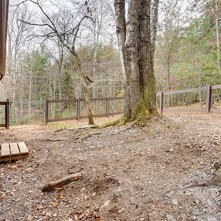 Peaceful Warne Cabin Fenced Yard And Screened Porch Brasstown Exteriör bild